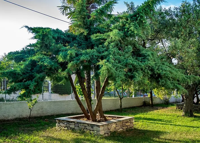 Dafni Hotel de apartamente