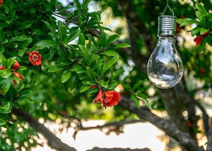 Dafni Hotel de apartamente Limenas (Thasos)